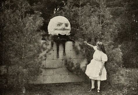 The curse of humptyx dumpty trailrr